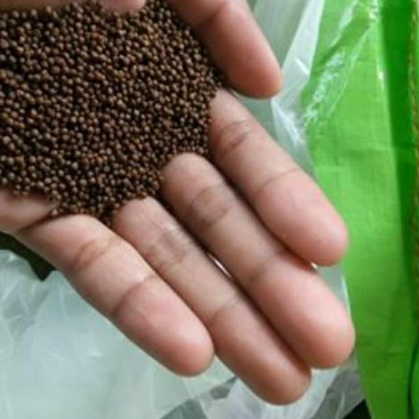 pelet ikan pf 1000 1kg pakan ikan pf1000