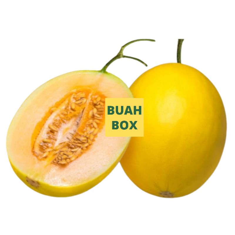 

Buah Melon Golden Segar Manis Fresh Termurah Terlaris 1 Buah