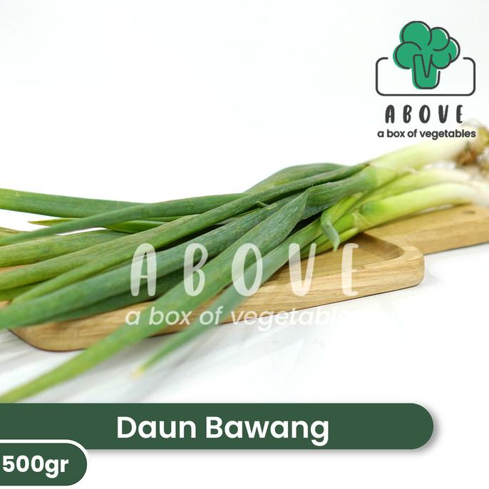 

Daun Bawang (500gr) - Sayur ABOVE