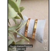 Bangle titanium