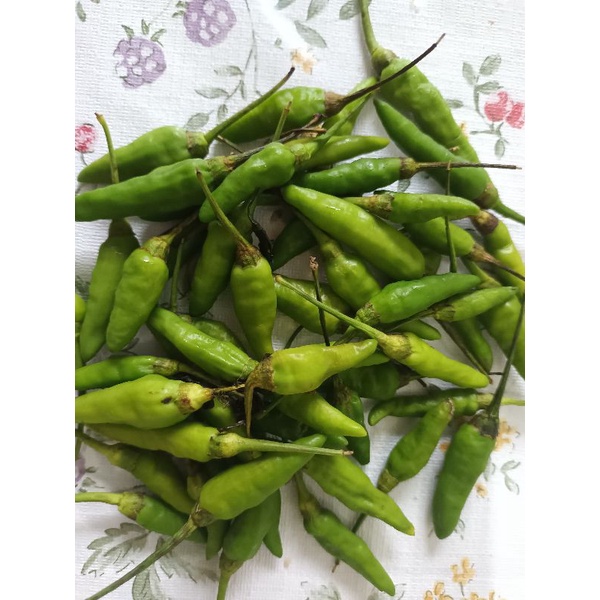 

cabe rawit pedas