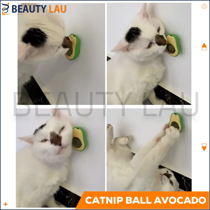 CATNIP KUCING BALL AVOCADO ALPUKAT CATMINT BOLA CATNIP BALL TEMPEL PUTAR MAENAN MAINAN UNTUK KUCING