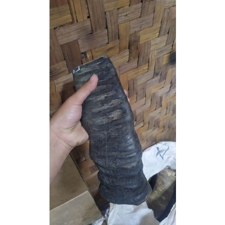 Tanduk kerbau potongan untuk kerajinan sarung bilah guasha tali simpai lempengan tanduk