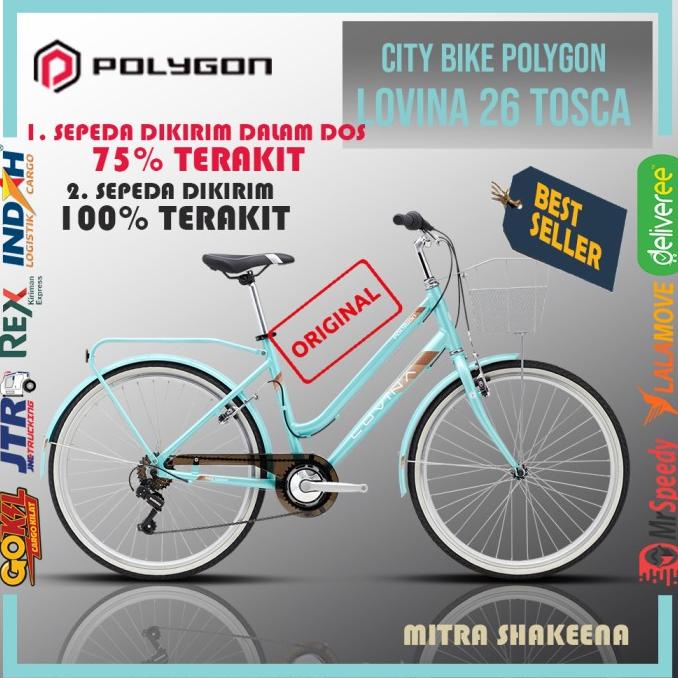 City Bike Sepeda Vintage Polygon Lovina 26 Keranjang Cream Black Tosca