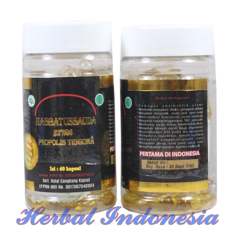 Habbatussauda Extra Propolis Trigona 60 kapsul (Trigona UMS)