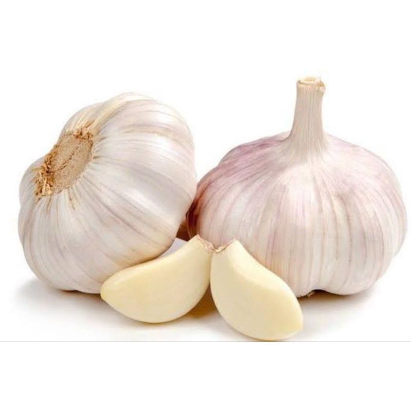 

BAWANG PUTIH BERSIH Jaminan tidak ada Busuk