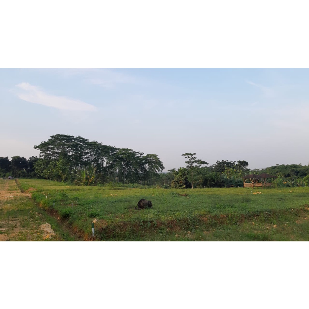 Tanah Kavling Pemda Bogor Timur