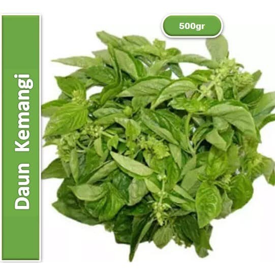 

Daun Kemangi - Jabar Fresh | 500gr [ Harga Per 0,5 Kg ]