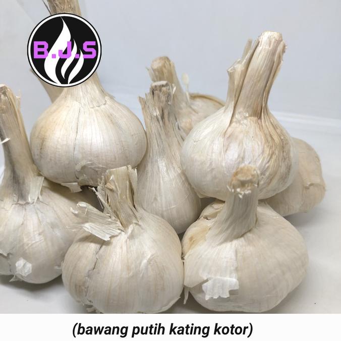 

TERBARU BAWANG PUTIH UTUH KATING KOTOR 1KG DISCOUNT