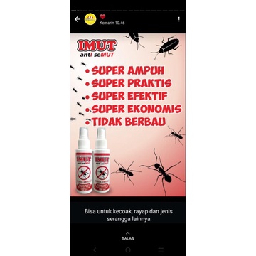 Anti Semut (imut)
