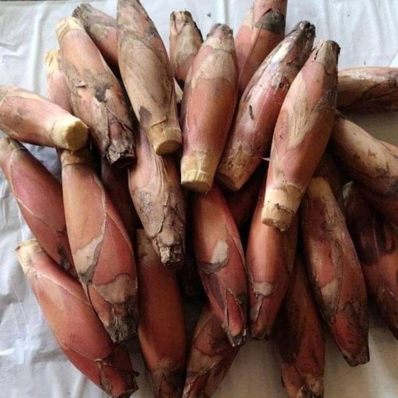 

Buah globa atu buah pining /1kg