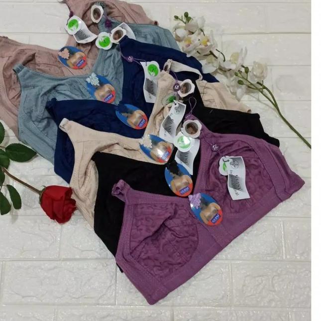 Bh jumbo Bh Guini 500 - 42