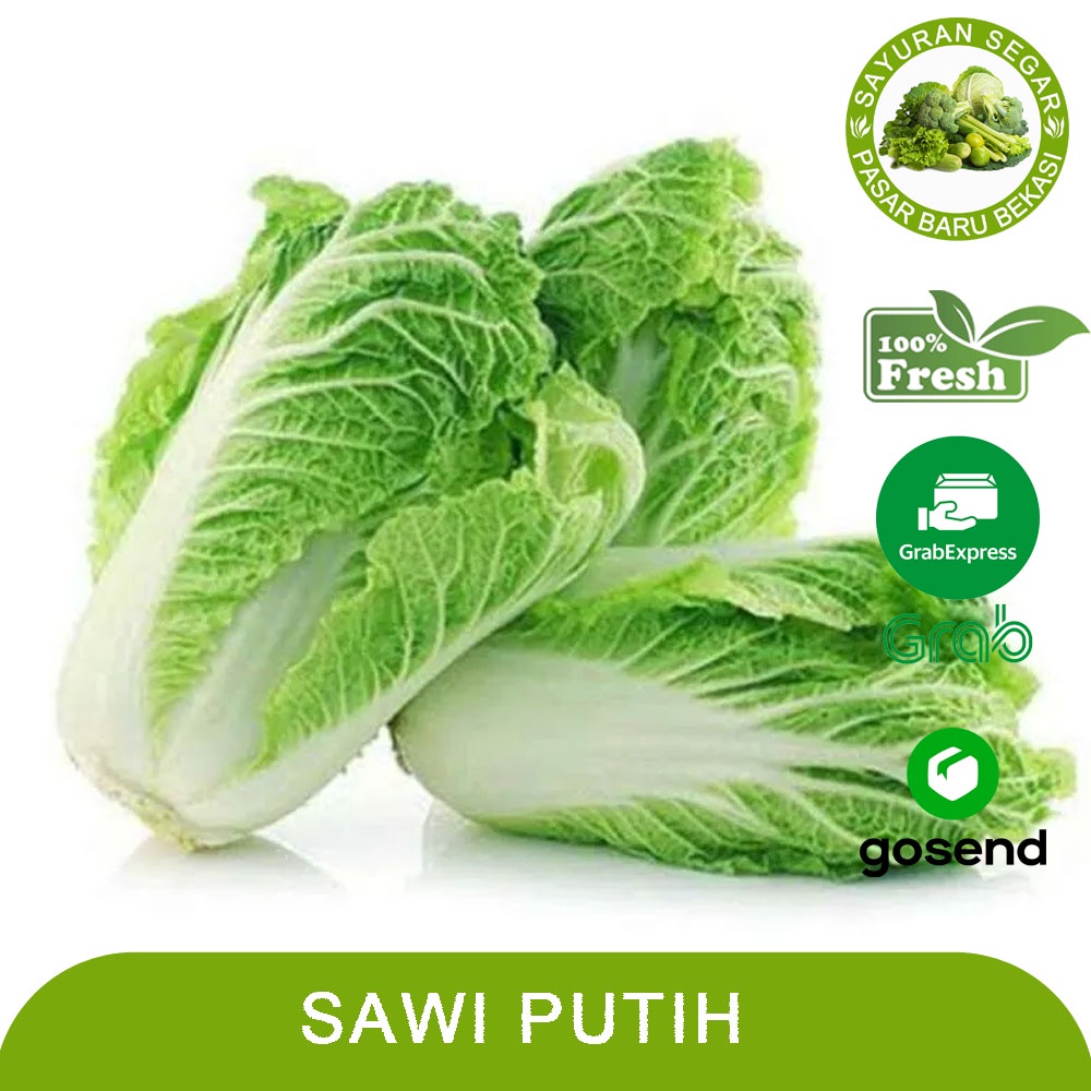 Jual Sawi Putih Sawi Cina Belanja Sayur Sayuran Segar Bekasi Shopee Indonesia 2745