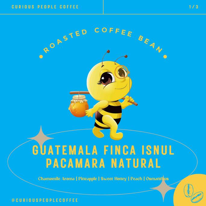 

BAYAR DITEMPAT Biji Kopi Manual Brew - Guatemala Finca Isnul Pacamara Natural- 200 gr /KOPI RUBE/KOPI KAPAL API/KOPI SLB/KOPI PEJUANG/KOPI BUBUK