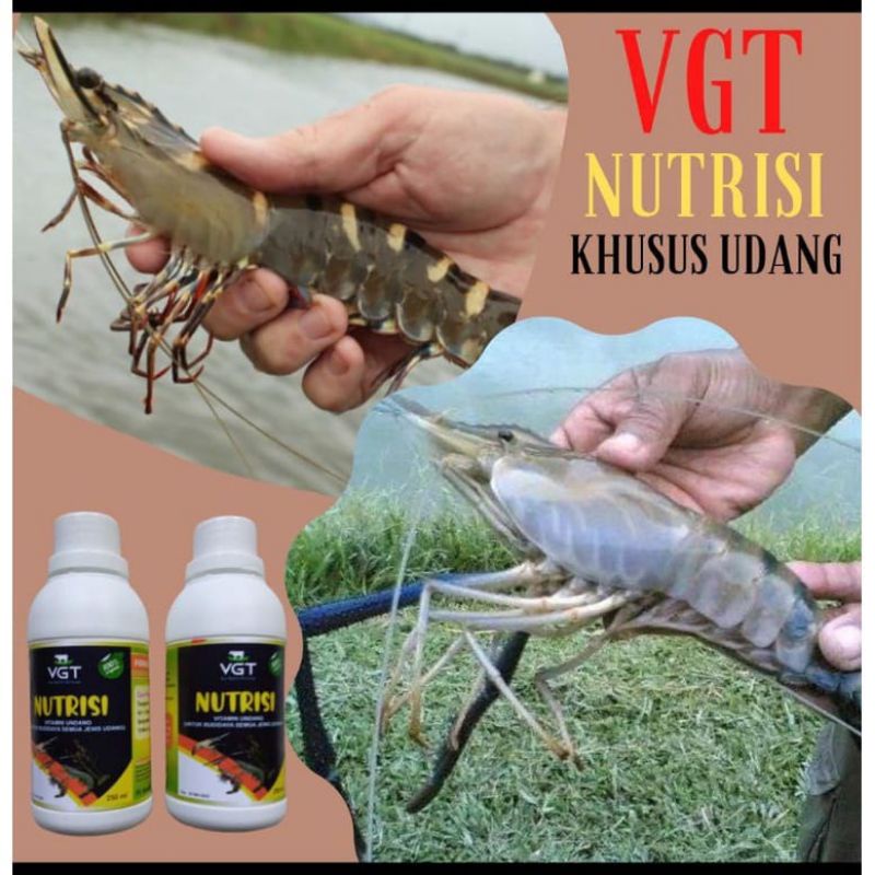 VGT nutrisi udang semua jenis udang lobster air tawar probiotik ternak udang