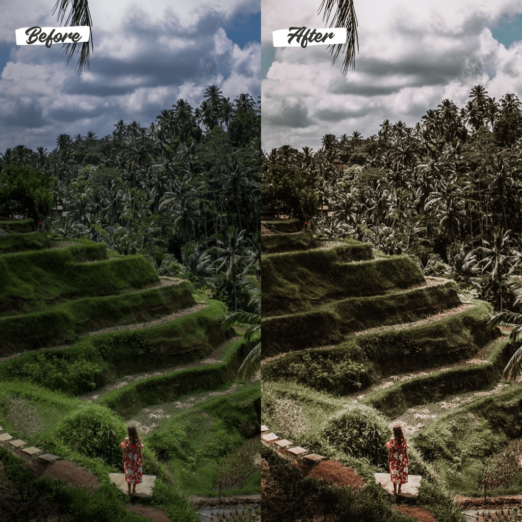 10 Lightroom Preset Premium Tropical Dekstop dan Mobile (IOS/Android)