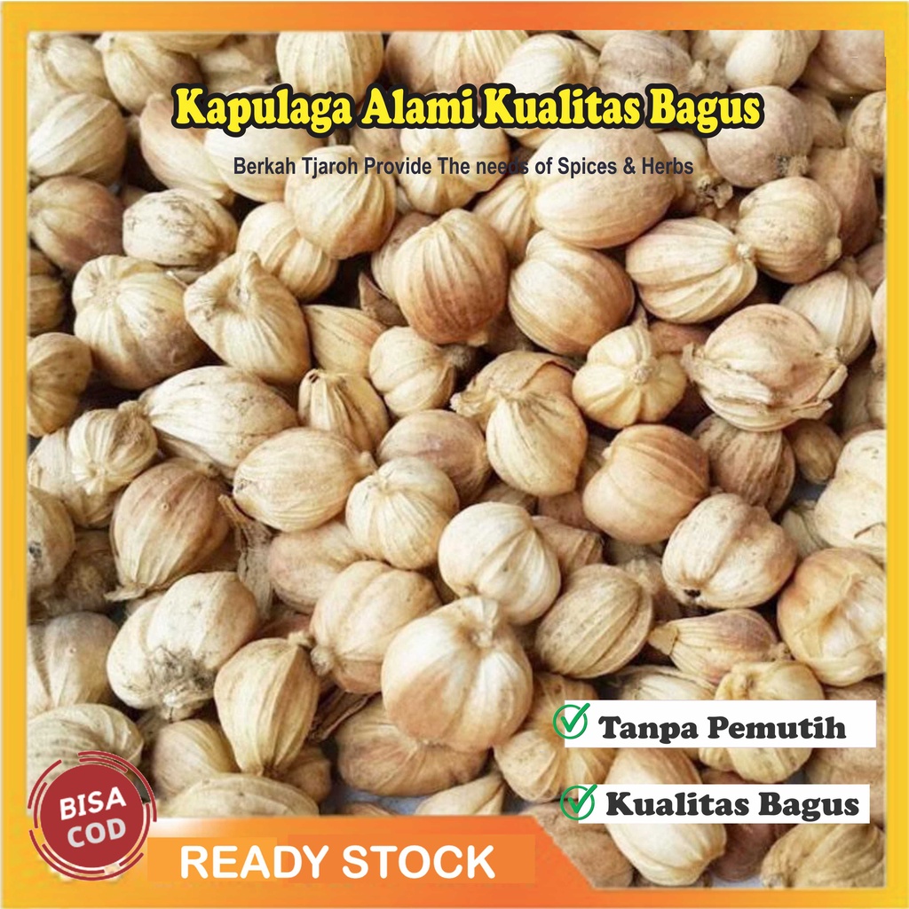 

100 gr Kapulaga / Rempah JSR Kapol Kering Alami Tanpa Pemutih