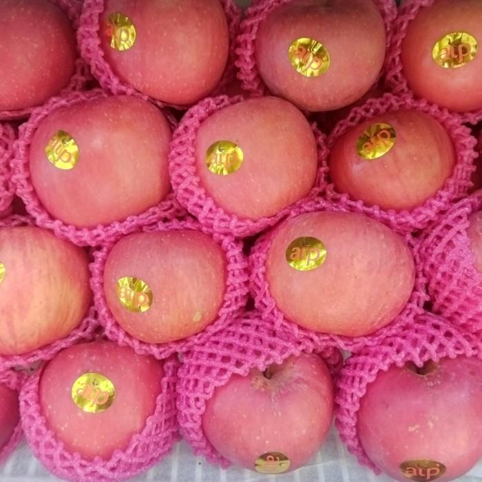 

Apel Fuji Blush 1Kg Murah!