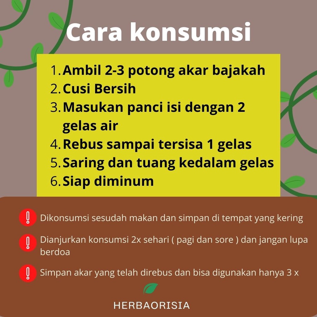 

Akar Bajakah Asli Kalimantan Merah 2kg - Obat Diabetes