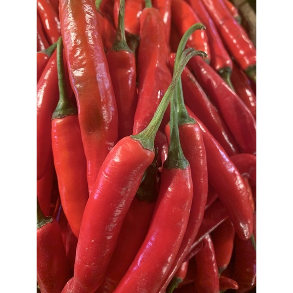 

cabe merah besar /250grm Rp 12.500