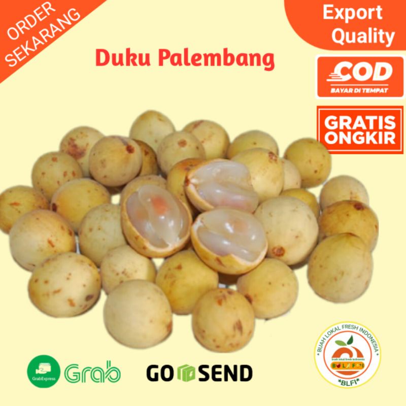 

DUKU PALEMBANG ASLI MANIS