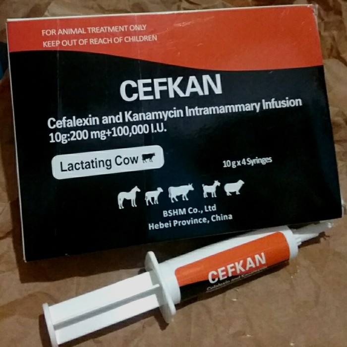 CEFKAN (pengobatan mastitis klinis pada sapi perah menyusui) | Harga Jual Per Syiringe