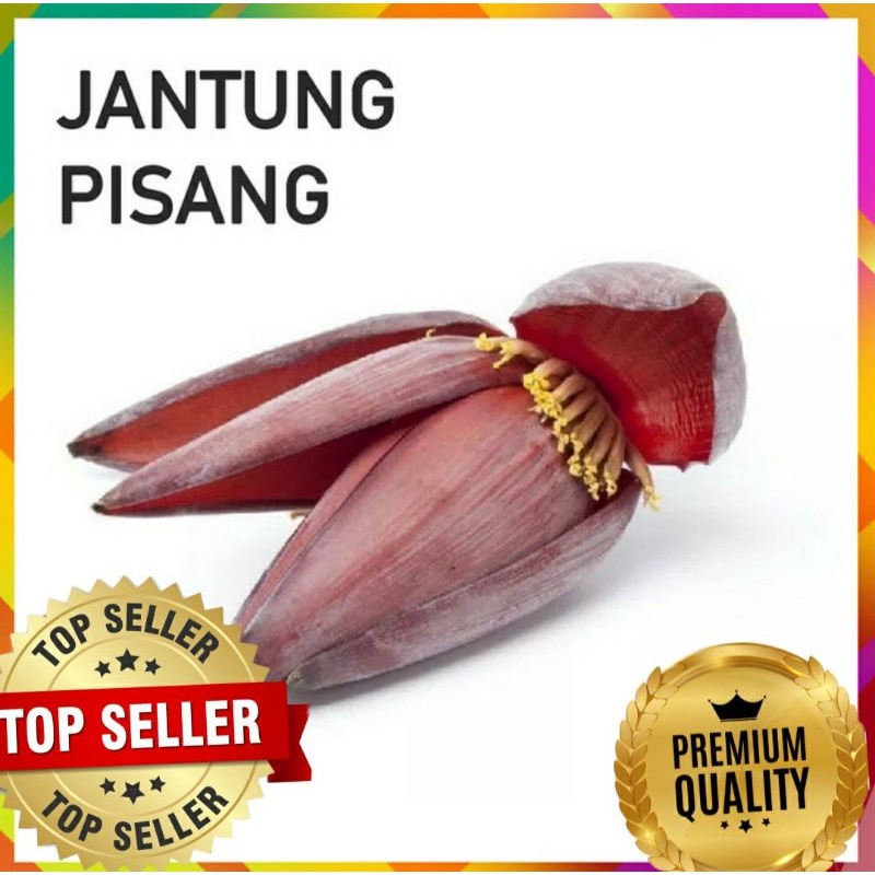 

JANTUNG PISANG FRESH ORGANIK 1000 GRAM (PREMIUM QUALITY)