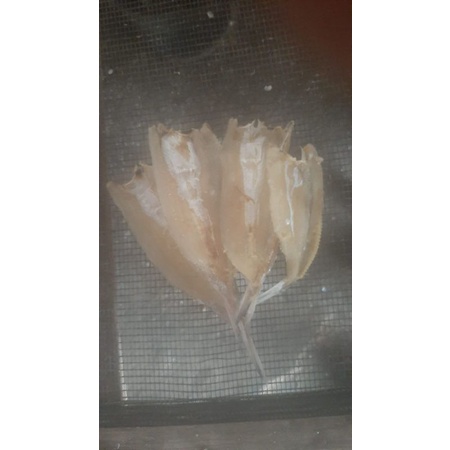

ikan kering balak asin.