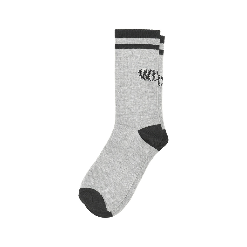 WISED | COGNOS | SOCKS