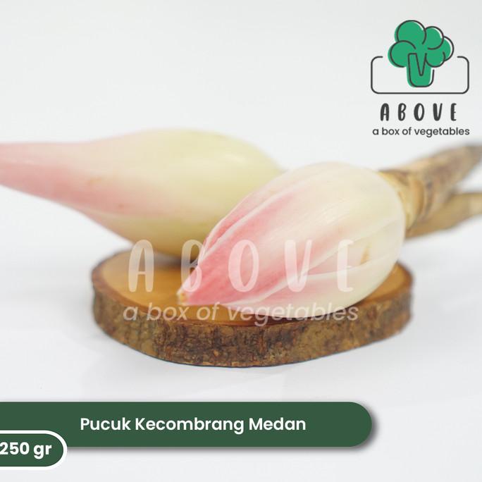 

Pucuk Kecombrang Medan (250 gr) - Bumbu ABOVE