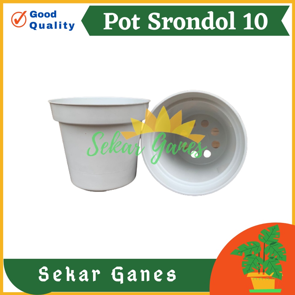 POT BUNGA 10cm PUTIH Pot Tanaman Hias Grosir Murah Plastik Pot 10 cm MURAH