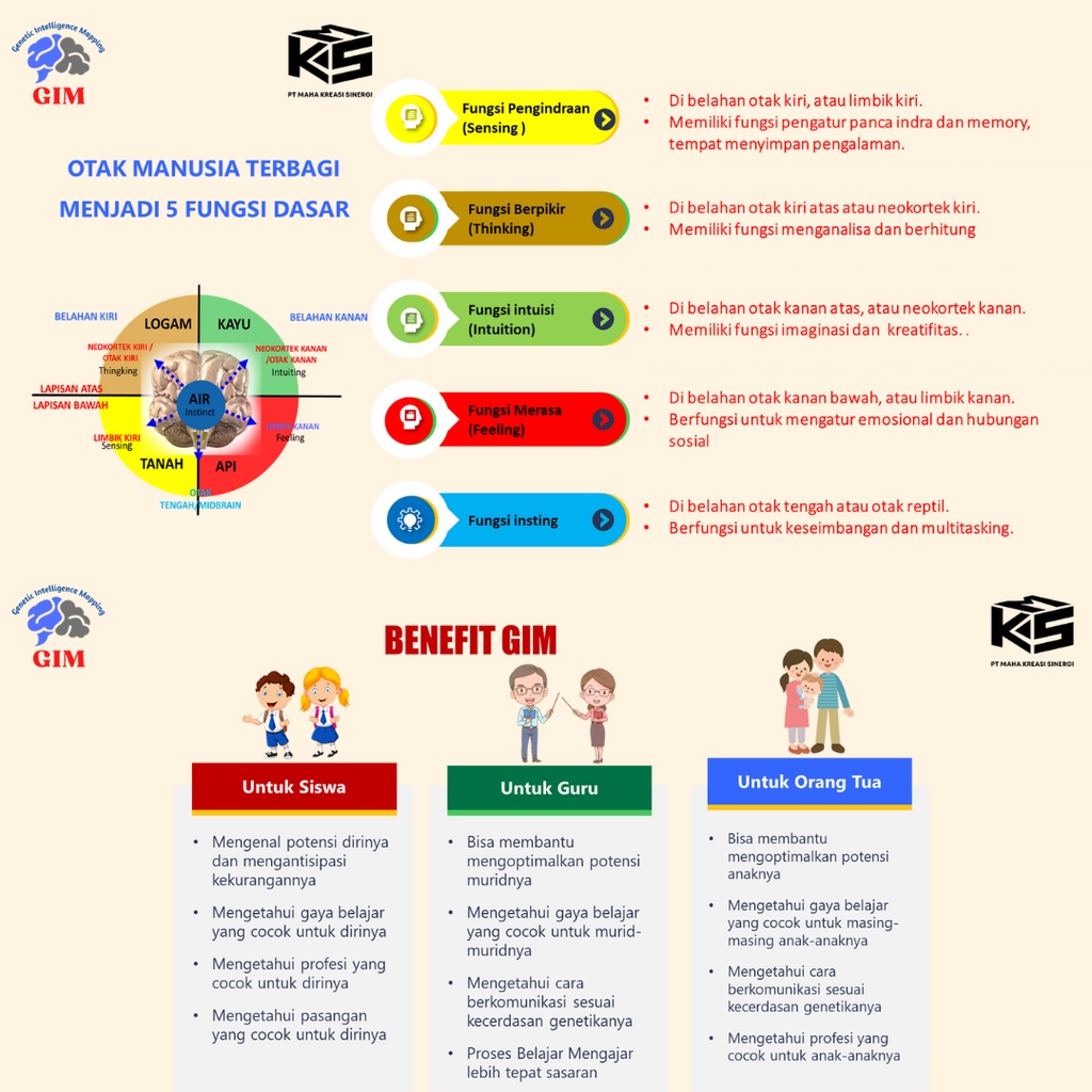 PAKET HEMAT Tes kecerdasan Genetika (Genetics Intellegentia Mapping) dan Gaya Belajar Anak