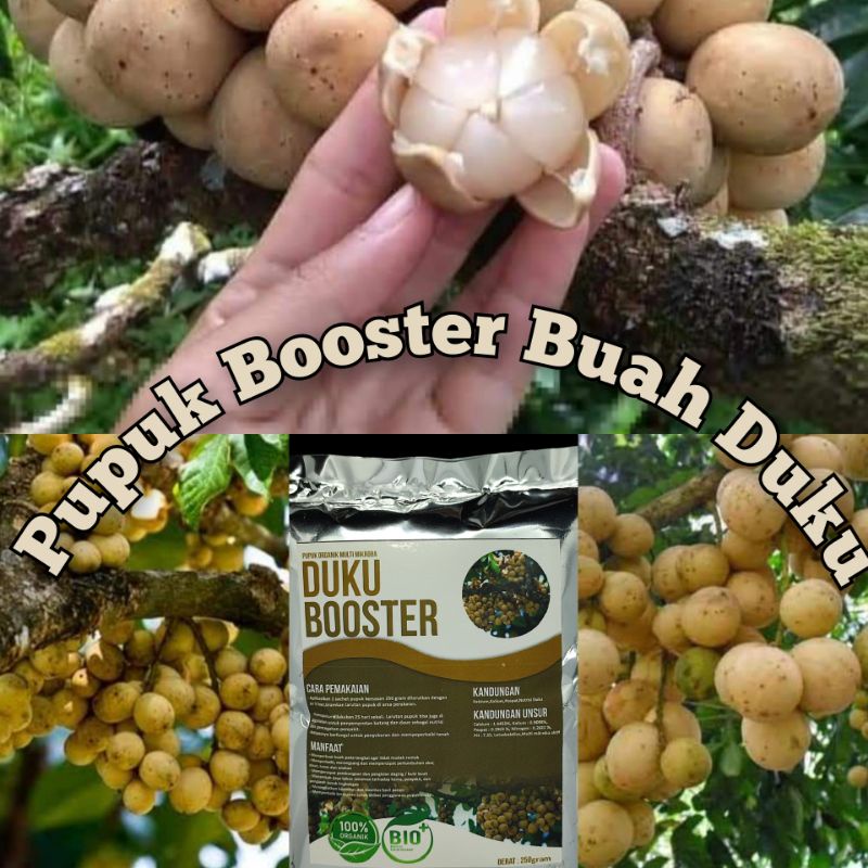 Pupuk booster buah DukuMurah Pupuk booster buah organik non kimia pupuk cair kilat npk urea merah pe