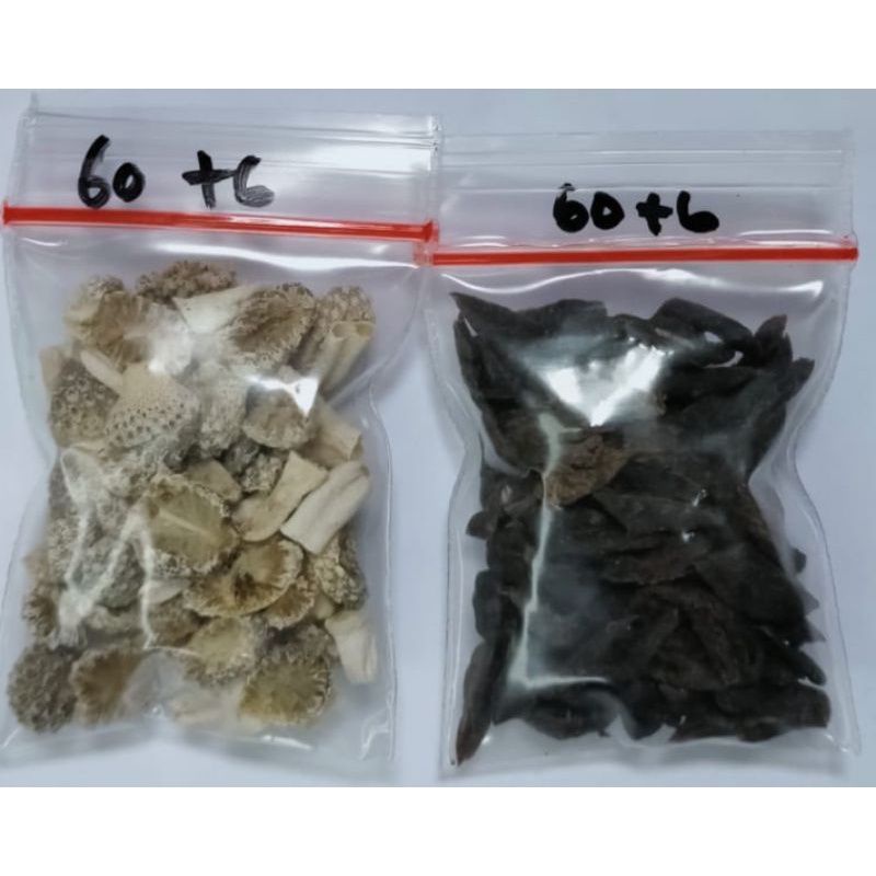 mpot ayam potong per ecer & majakani harga 1 butir bukan 1 bungkus seharga 250 rupiah