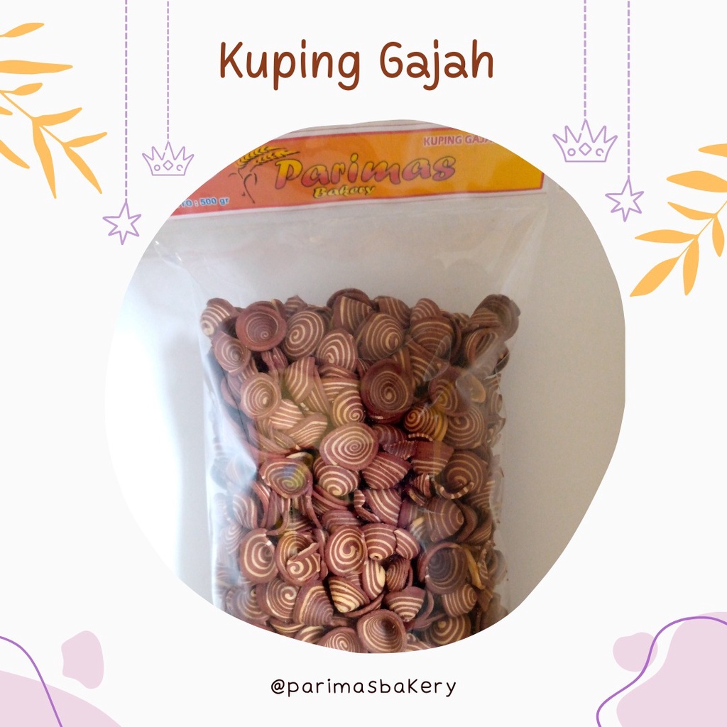 

KUPING GAJAH MINI