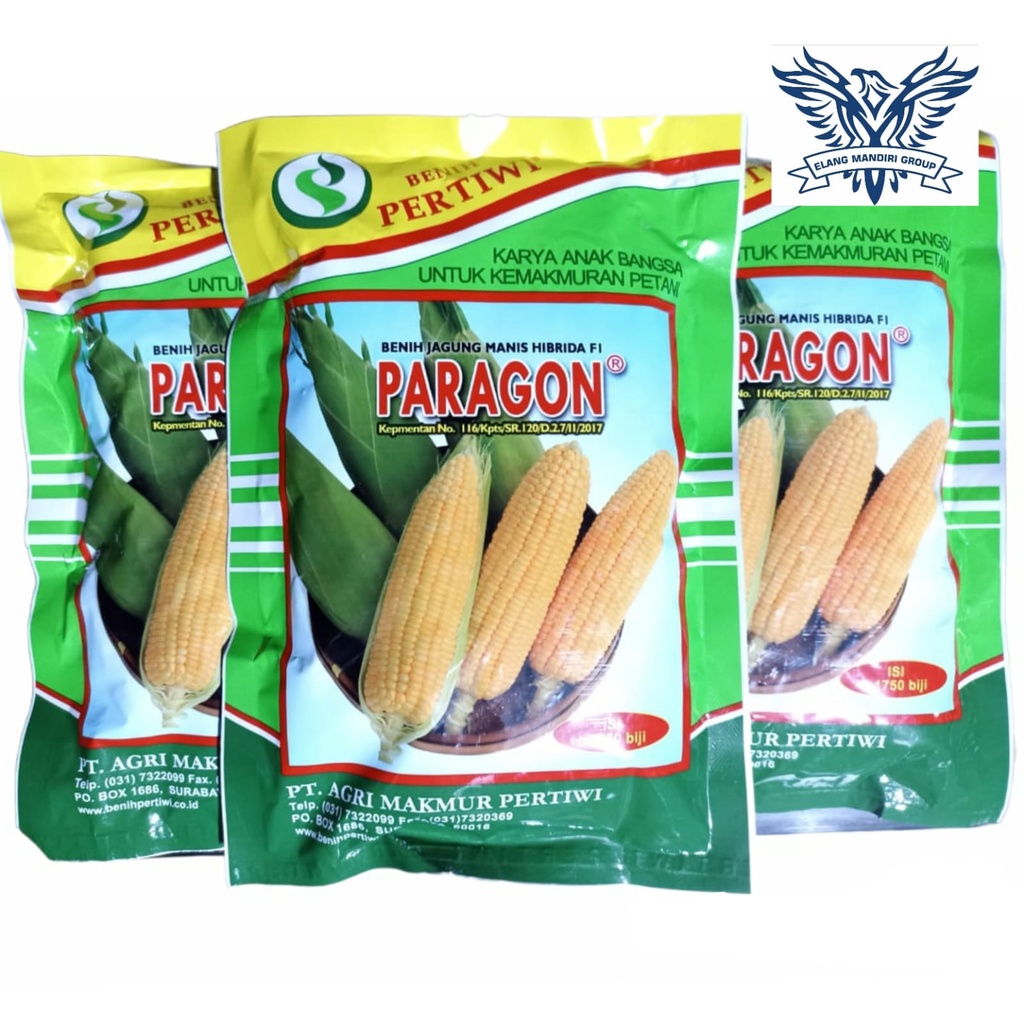 Benih Jagung Manis Paragon Isi 1750 Biji Jagung Hibrida Original Benih Pertiwi