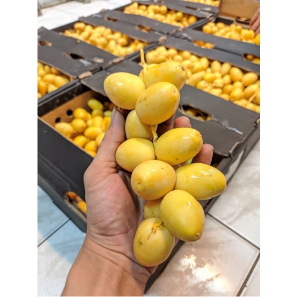 

Kurma Muda Promil Kurma BARHI kuning manis [ Hanya Instan & Sameday ]