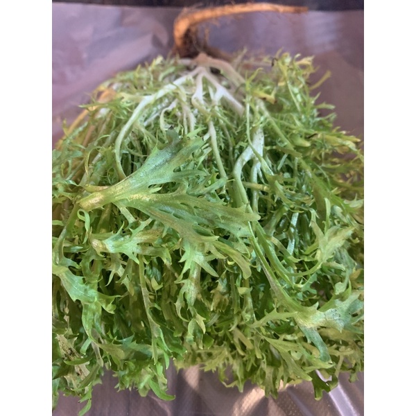 

arugula roket wild 100 gram Rp 18.500