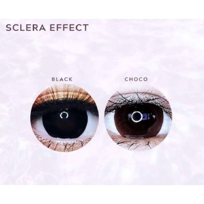 Softlens Sclera / SCELERA 23.0MM Big Eyes Effect