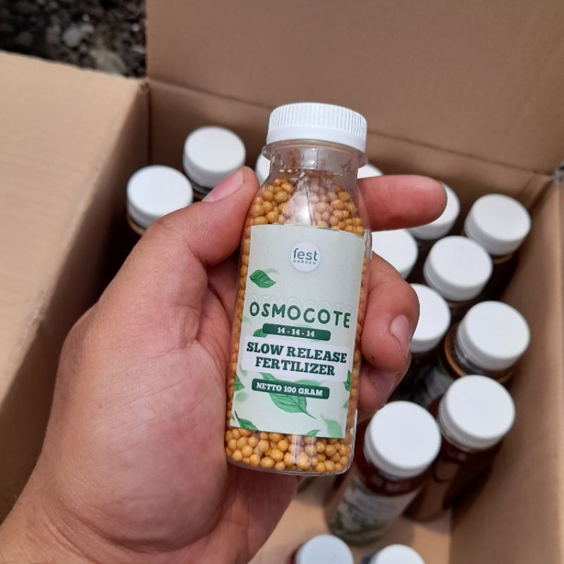 Osmocote 14 14 14