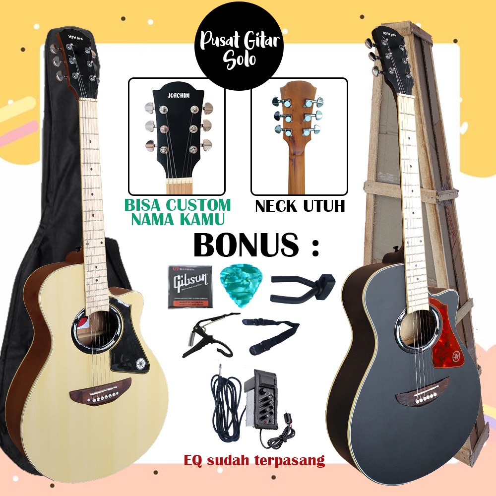 Gitar akustik APX Custom paket lengkap FREE PAKING KAYU