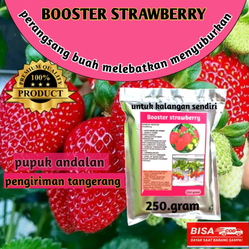 pupuk booster strawberry pupuk perangsang buah melebatkan menyuburkan