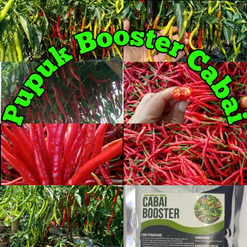 Pupuk booster cabaiMurah Pupuk booster buah organik non kimia pupuk cair kilat npk urea merah peleba