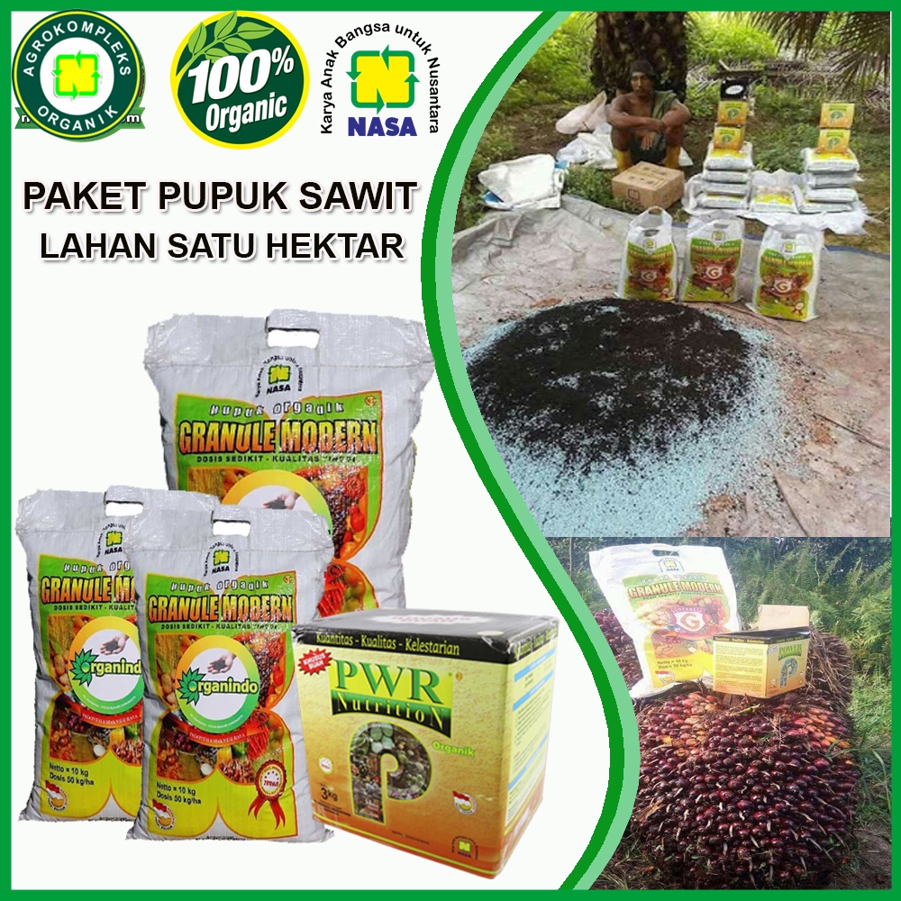 Pupuk Pembesar Buah Sawit | Paket Pupuk Sawit Nasa Power Nutrition Dan Pupuk Organindo Nasa | Pupuk 