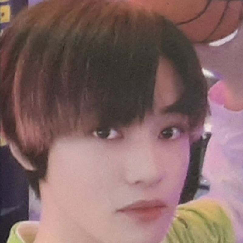 chenle basket