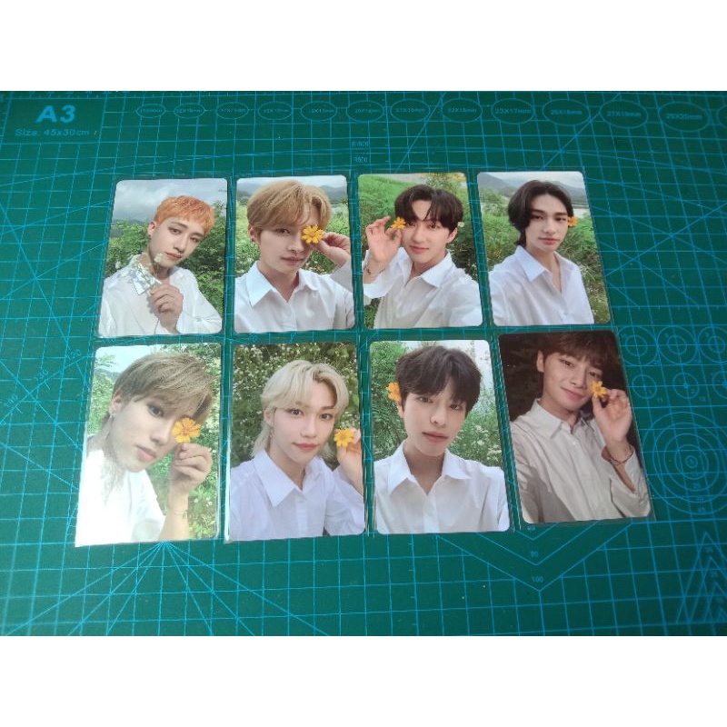 Stray Kids noeasy POB