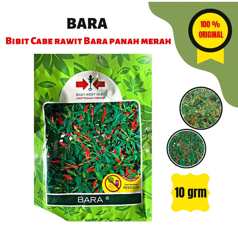 BENIH BIBIT CABE RAWIT BARA - PANAH MERAH