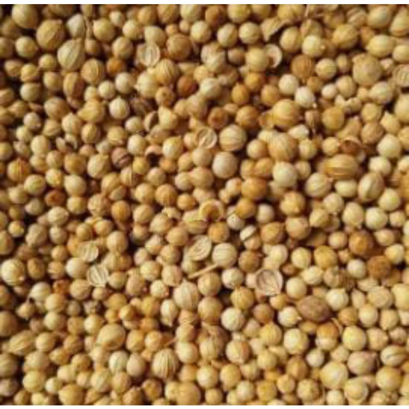 

ketumbar bulat 100gr/1ons