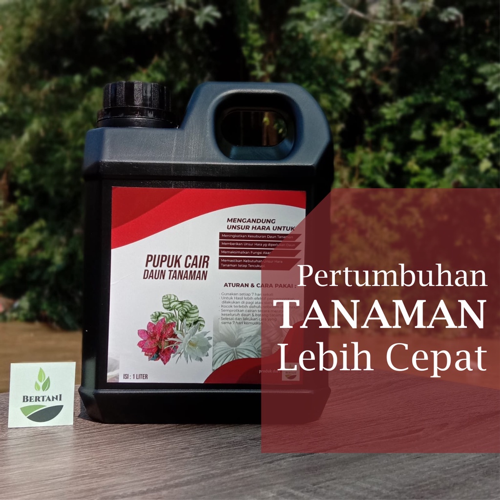 Pupuk Tanaman Hias Daun | PUPUK CAIR MAJEMUK (REFILL 1 LITER)