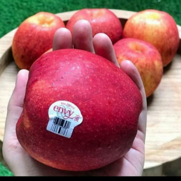 

Apel Envy Premium Apple NEW ZEALAND High Grade 1 buah